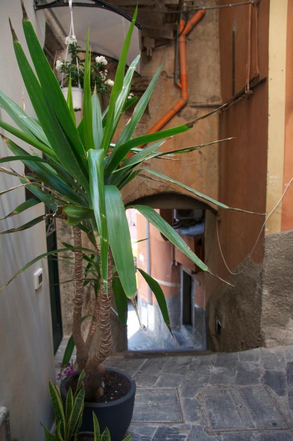 La Croce Dei Templari - Very Central With Parking - Hotel ริโอมัจโจเร ภายนอก รูปภาพ